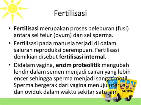 Apa Yang Dimaksud Dengan Fertilisasi Dimanakah Proses Terjadinya