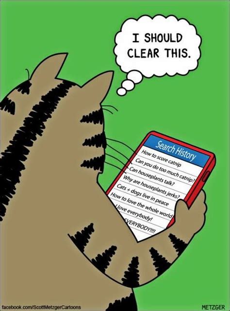 pin by sandy ayres on cats furry rulers of the world cat comics cartoon cat crazy cats