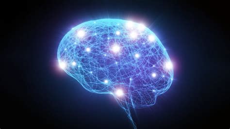 Neurotransmission Brain Receptors Dana Foundation