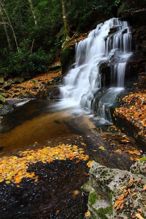 State police, state park police and the. Beautiful place. Blackwater Falls State Park West Virginia ...
