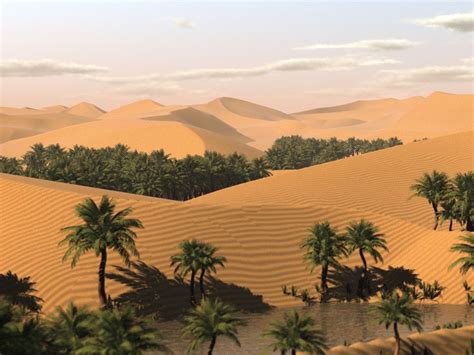 Sahara Desert Oasis - Human and Natural | Desert ecosystem, Desert oasis, Desert tour