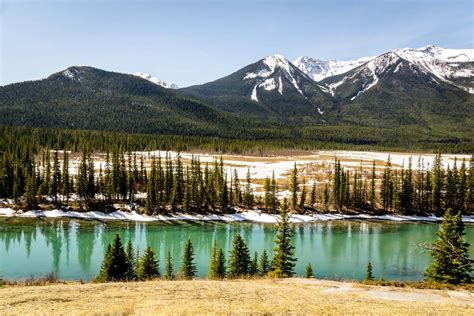 Cycling The Bow Valley Parkway In Banff National Park 2024 Travel