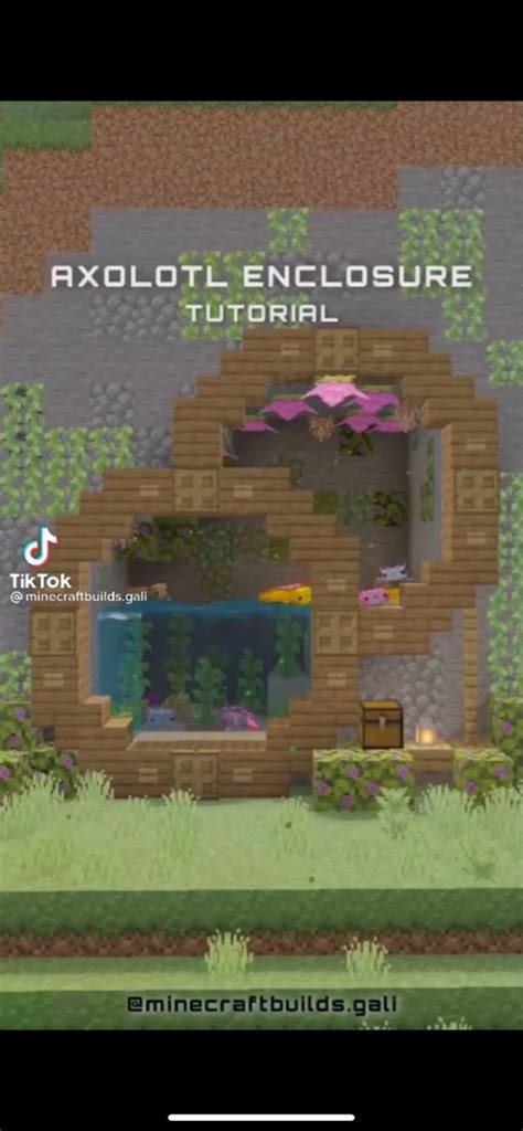 Axolotl Enclosure In 2021 Minecraft Houses Minecraft Designs
