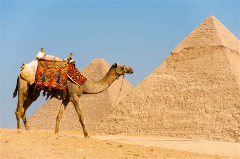 Egypt, country located in the northeastern corner of africa. The Great Pyramid | Egypt Historical Place To Visit | World