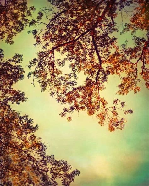 Autumn Photography Fall Art Golden Leaves Mocha Nougat Orange And