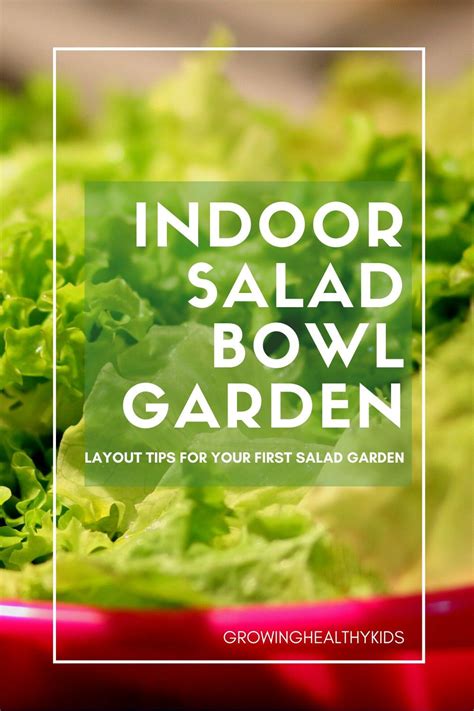 How To Grow Your Own Mini Salad Bowl Garden Diy Salad Growing