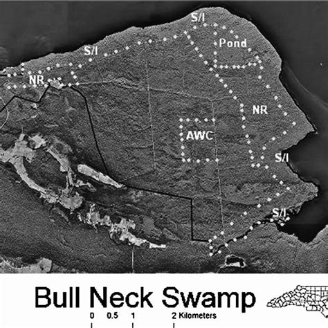 Infrared Photograph Of Bull Neck Swamp Washington County North