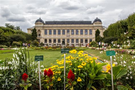 Park It In Paris Jardin Des Plantes — Simply Sara Travel