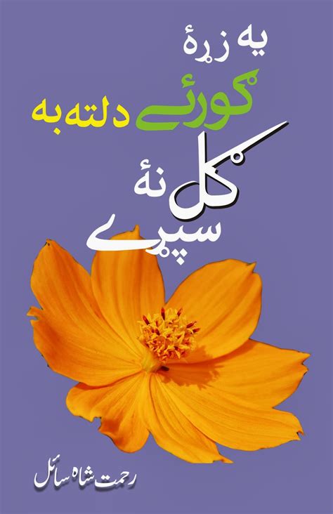 Pashto Adabi Panra