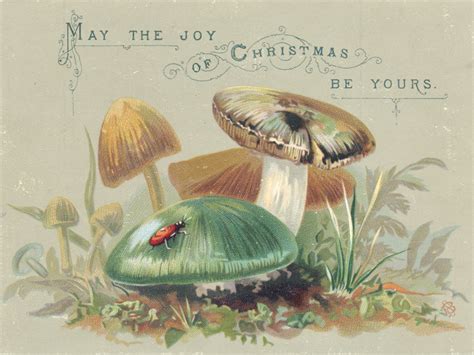 ✓ free for commercial use ✓ high quality images. Merry Christmas Mushrooms | Victorian christmas cards, Vintage christmas cards, Creepy christmas