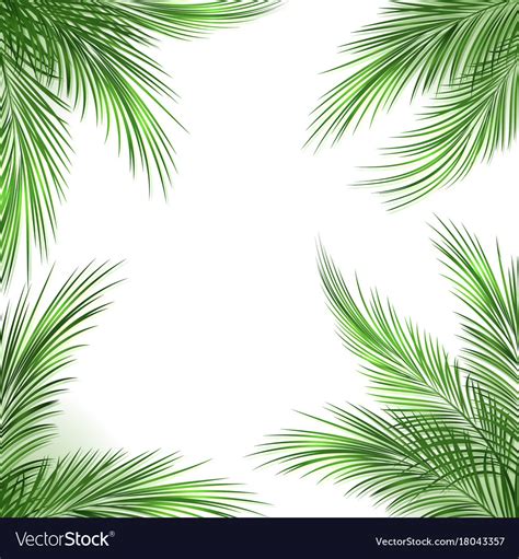palm leaves frame royalty free vector image vectorstock