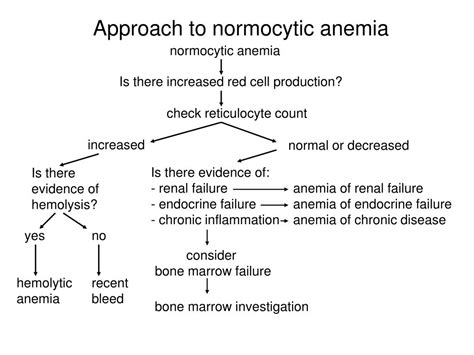 Normocytic Anemia Causes