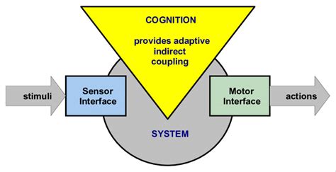 B A Cognitive System Download Scientific Diagram