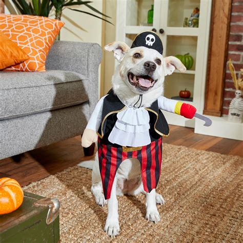 Frisco Front Walking Pirate Dog And Cat Costume X Small