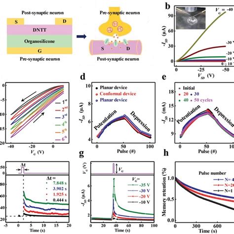 Flexible Conformal Synaptic Transistors A Schematic And Sem Images