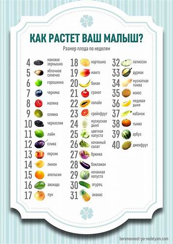 Вес плода по неделям беременности таблица Вес плода по неделям беременности таблица