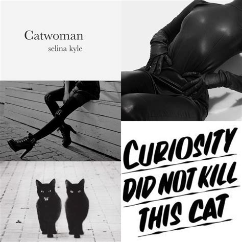 Catwoman Dc Aesthetic Catwoman Selina Kyle Catwoman Selina Kyle
