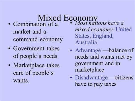 What Is Mixed Economy Discuss