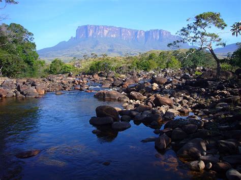 A Babbling Brook In Canaima National Park Venezuela With Mount