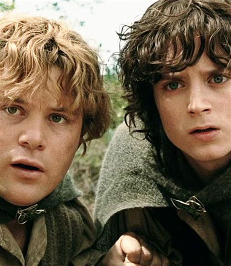 Sam And Frodo The Hobbit The Hobbit Movies Samwise Gamgee