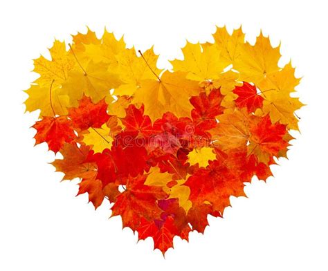 Stylized Heart Made From Leaves Isolated On White Bright Stylized