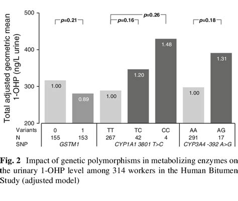 Impact Of Genetic Polymorphisms In Metabolizing Enzymes On The Urinary
