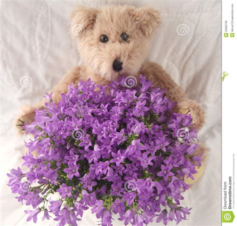 May 13, 2021 · place your teddy bear on top of the piece of paper and mark along the outer and inner edges of the teddy bear's legs and waist. Purple Flowers With Teddy Bear Stock Photo - Image of ...