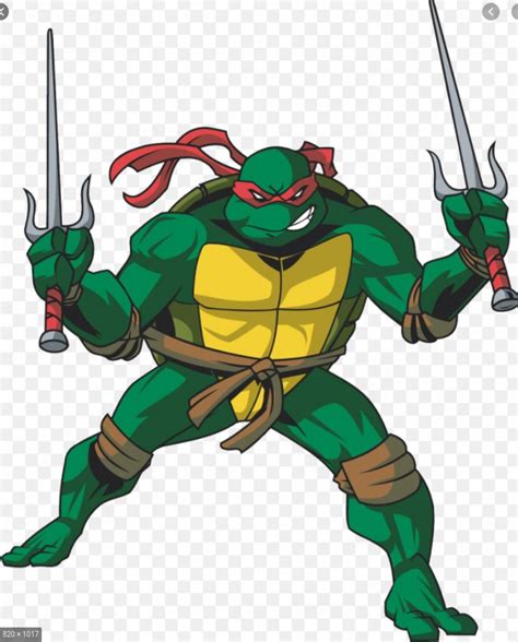 Raphael Tmnt 2003 Fictional Characters Wiki Fandom