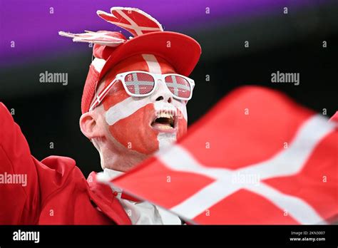 male Danish fan, soccer fan, man. Game 23, Group D France (FRA