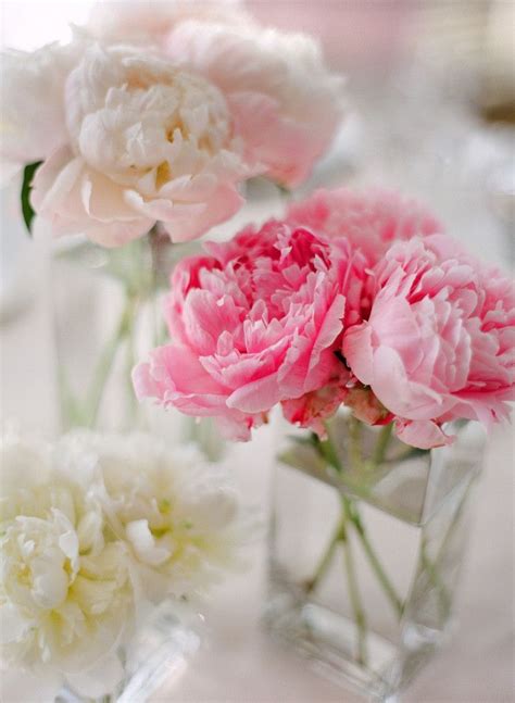 Peony Centerpiece Bella Rosa Floral Design Love How Simple These Are