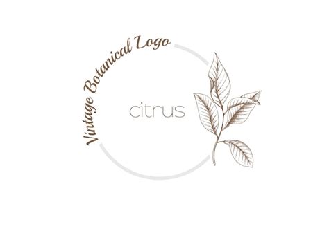 Botanical Logo Premium Vector
