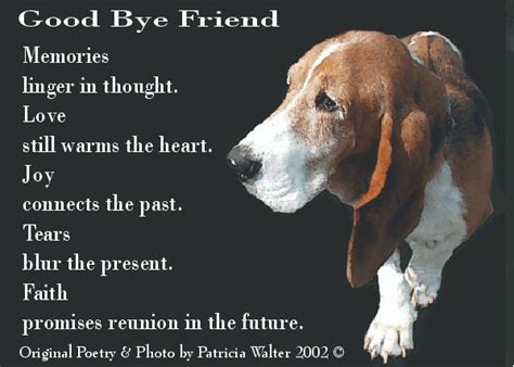 Good Bye Friend Quotes And Pics Dogs Goodbye Pictures Bye Quotes