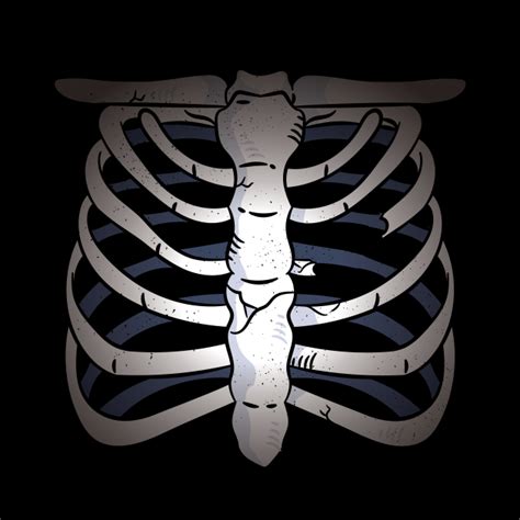 Chest Skeleton Design Skeleton Chest Pin Teepublic