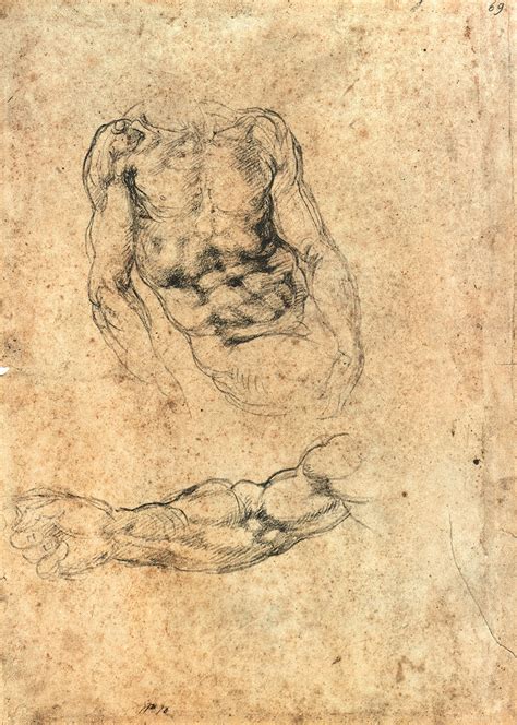 Study For Torso And Male Arm By Michelangelo Buonarroti Art Drawings