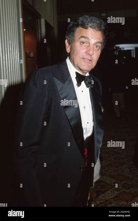 Mike Connors Circa 1980s Credit Ralph Dominguezmediapunch Stock