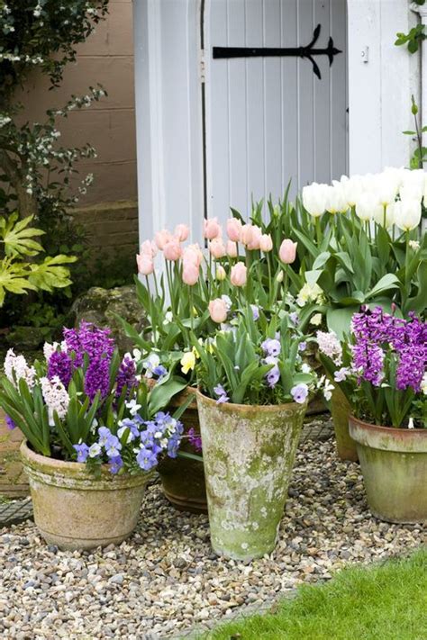 Plant your flower pots for spring with these tips and readily available spring flowers like bleeding hearts, primroses, violas, pansies and ranunculus. 33 Best Bulbs to Plant in Fall for Spring - Flowers to ...