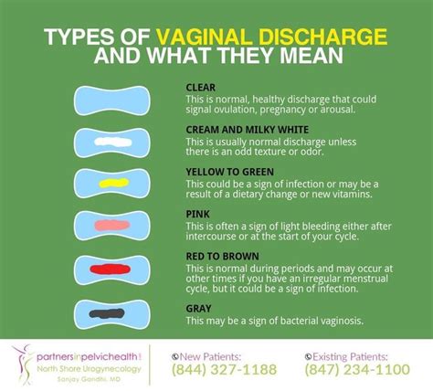 Carry All About Health What Do Different Types Of Vaginal Discharge
