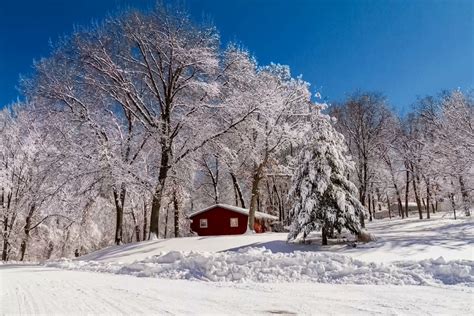 壁纸 树木 景观 性质 天空 冬季 科 冷静 风暴 蓝色 冰 霜 伊利诺伊州 弹簧 冷冻 云 道路 暴风雪