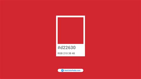 Pantone 1795 C Hex Color Conversion Color Schemes Color Shades