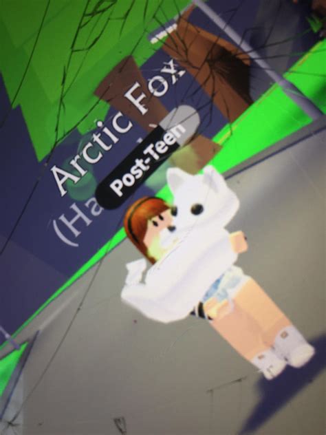 Artic Fox In Adopt Me Is Do Cute☘️ ️ Adoptmerbx