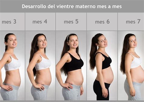 Mes a mes Cómo crece la barriga durante el embarazo Etapa Infantil