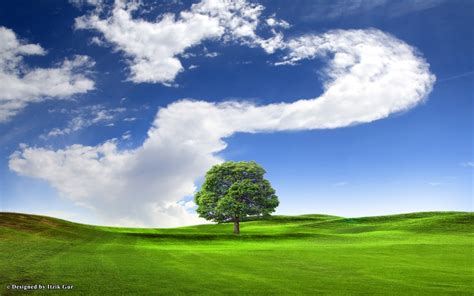 Blue Field Lonely Tree Over The Hill Nature Fields Hd Desktop Wallpaper