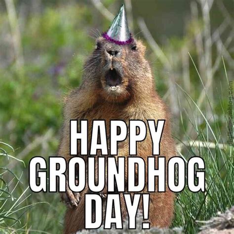 Groundhog Day Memes And Funny Groundhog Memes For