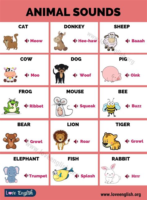 List Of Different Animals And Their Sounds