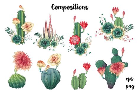 Cute Cactus Clipart Cacti And Succulents Vectors Master Bundles