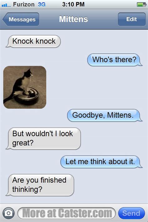 Texts From Mittens The Birthday Edition Catster