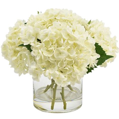 White Hydrangea In Cylinder Vase Flowers In Vase JuneFlowers