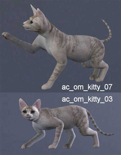 Mod The Sims Kitty Pose Pack