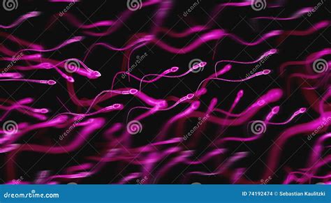 the human sperms stock illustration illustration of artwork 74192474