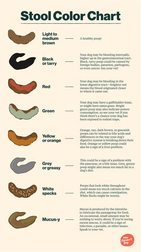 Textures Of Poop And What They Mean Bristol Stool Chart Lupongovph